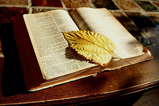 Bible-Based Books That Strengthen Faith